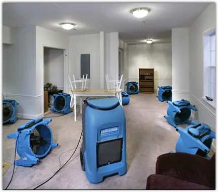 Contents Cleaning & Restoration in Leoni, MI