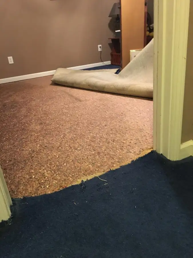 Carpet pad removal revealing water damage during Drying & Dehumidification in Leoni