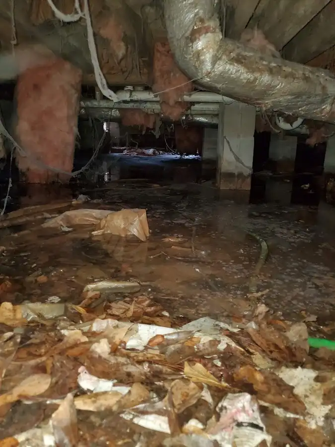 Crawl space flood assessment for Commercial Water Damage Restoration in Leoni