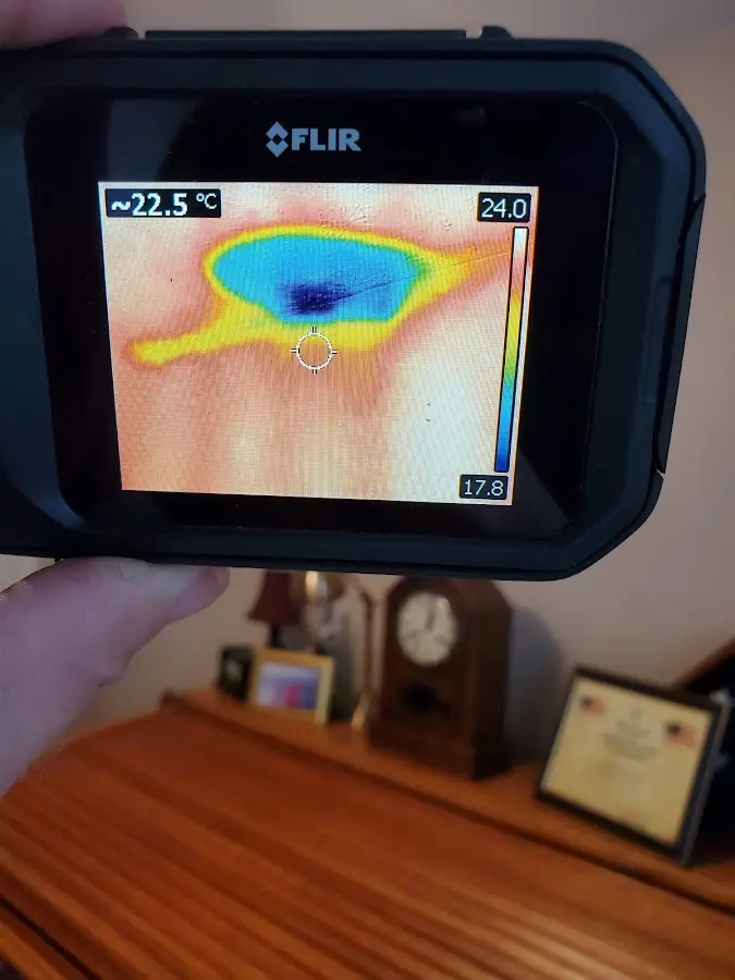 Thermal imaging inspection for water damage in Leoni