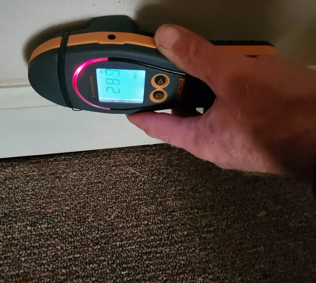 Moisture detection at baseboard during Sewage Cleanup & Sanitation in Leoni